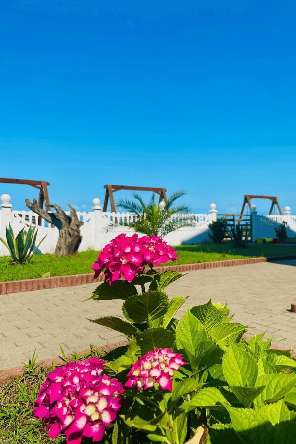 Sea Line Hotel Шекветілі Екстер'єр фото